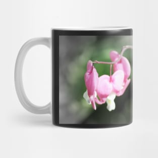 red bleeding hearts, soft background 2 Mug